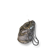 Load image into Gallery viewer, Colette sequins bag